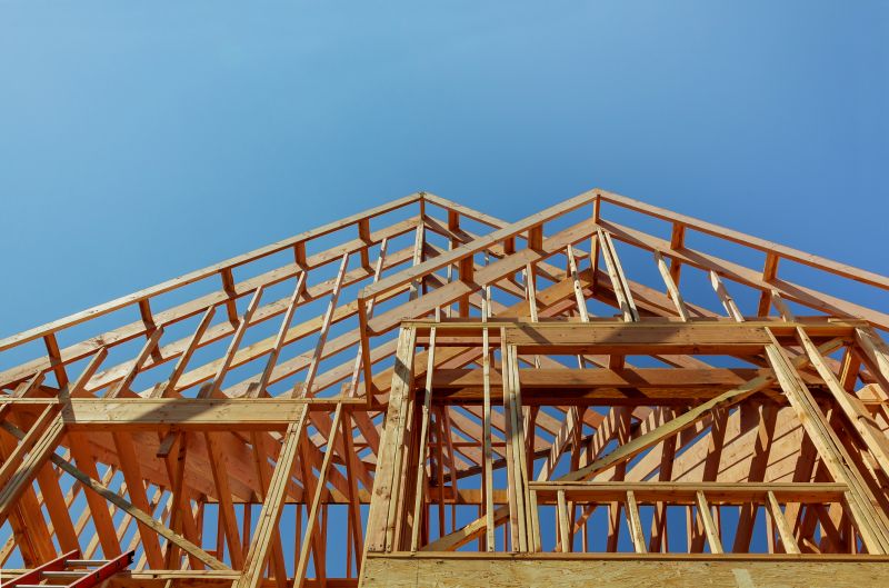 Roof Framing Repair