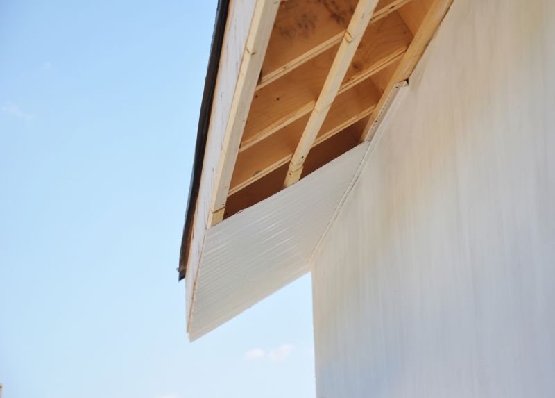 Roof Framing Repair
